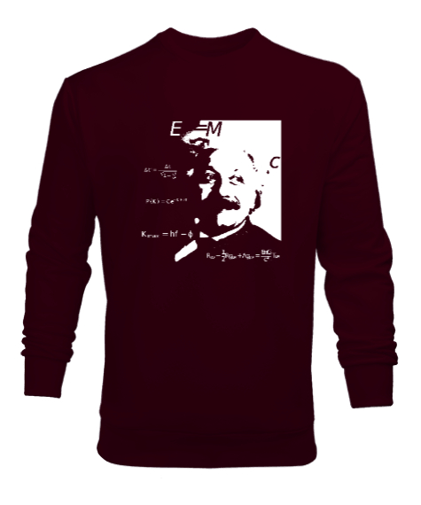 Tisho - Albert Einstein Bordo Erkek Sweatshirt