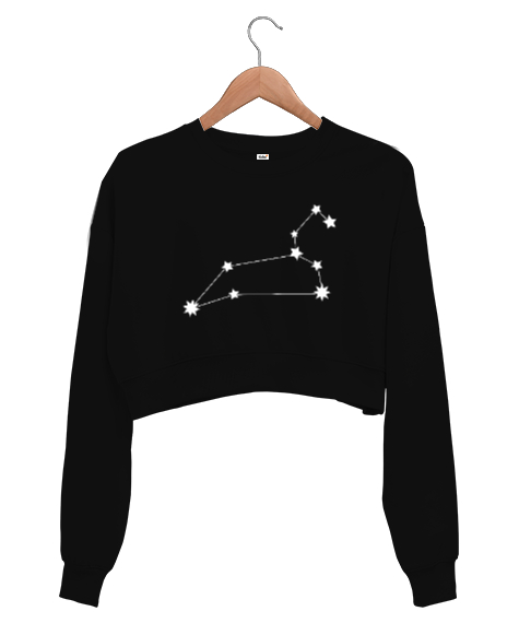 Tisho - Aslan Burcu Takım Yıldızı Siyah Kadın Crop Sweatshirt