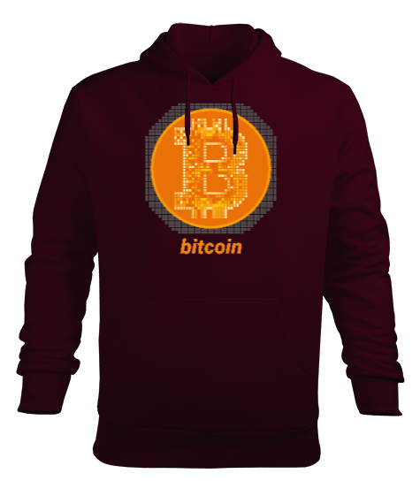 Bitcoin v2 Blauart Erkek Kapüşonlu Hoodie Sweatshirt