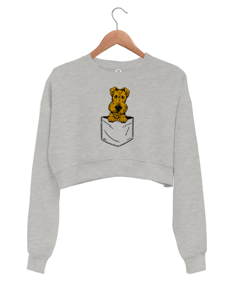 Tisho - Cepteki Sevimli Köpek Gri Kadın Crop Sweatshirt