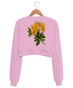 Çiçekli Kadın Crop Kadın Crop Sweatshirt - Thumbnail