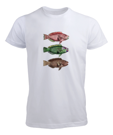 Tisho - Color Fishes Renkli Balıklar Beyaz Erkek Tişört