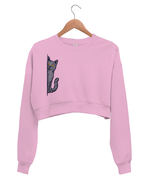Tisho - Gizlenen Kedi Pembe Kadın Crop Sweatshirt