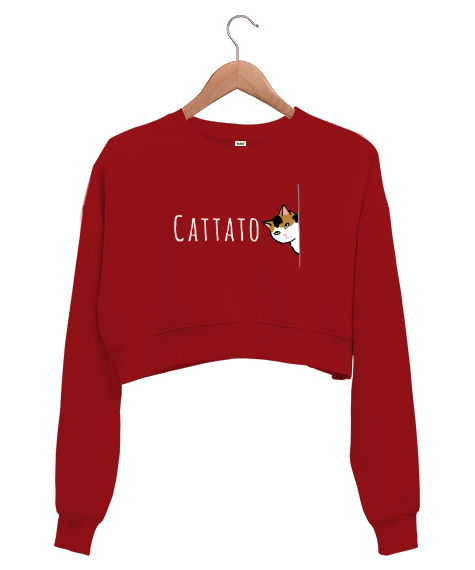 Tisho - Gizlenmiş Kedi - Cattato Kırmızı Kadın Crop Sweatshirt