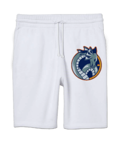 Güçlü özel tasarım mavi ejderha motivasyon Unisex Sweatshirt Şort Regular Fit - Tisho