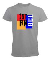 İSTANBUL Gri Erkek Tişört - Tisho