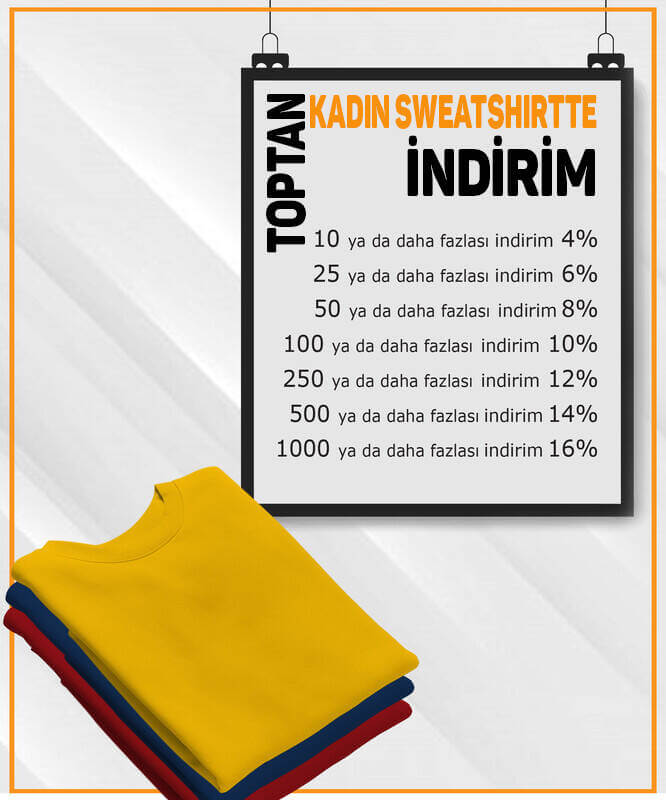 Tisho - Kadın Renkli Baskısız Toptan Sweatshirt