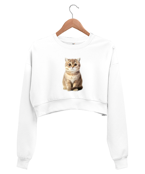 Tisho - kedi beyaz Beyaz Kadın Crop Sweatshirt