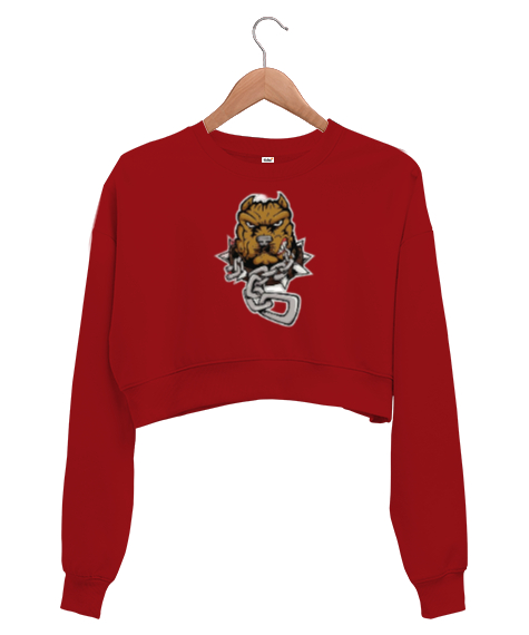 Tisho - Köpek baskılı Kırmızı Kadın Crop Sweatshirt
