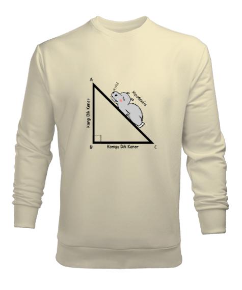 Tisho - Matematik Öğretmeni Öğretmenler Günü Özel tasarım Hipotenüs açısı Krem Erkek Sweatshirt