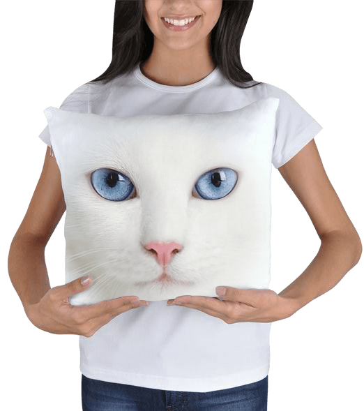 Tisho - minik beyaz kedi Kare Yastık