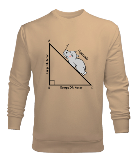 Tisho - Öğretmen günü hediyesi matematik öğretmenine hediye yaratıcı öğretmenler günü hediyeleri hipotenüs ü Camel Erkek Sweatshirt