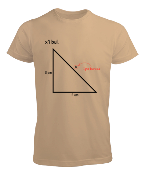 Tisho - Öğretmen günü hediyesi matematik öğretmenine hediye yaratıcı öğretmenler günü hediyeleri xi bul özel Camel Erkek Tişört