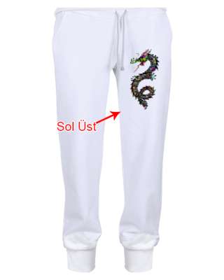 Renkli Fantastik Güçlü Ejderha Beyaz Erkek Eşofman Altı - Tisho