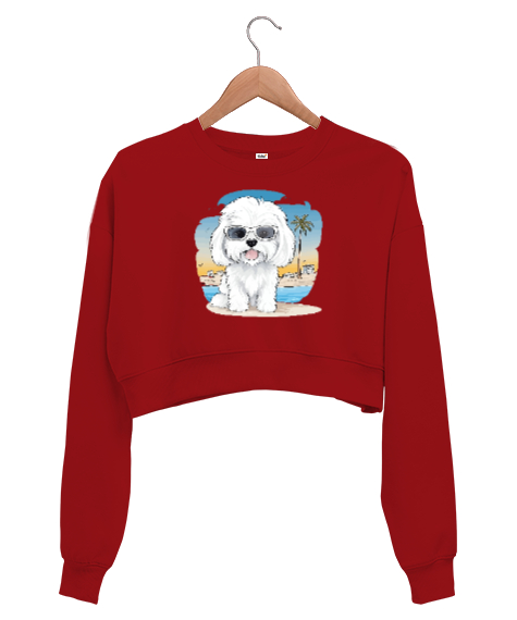 Tisho - Sevimli Cool Köpek - Sweety Dog Kırmızı Kadın Crop Sweatshirt