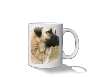 Sivas Kangal köpekli baskılı Beyaz Kupa Bardak - Thumbnail