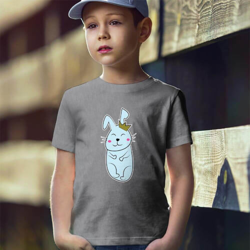 Tisho - Tavşan Erkek Çocuk Tişört - Tekli Kombin