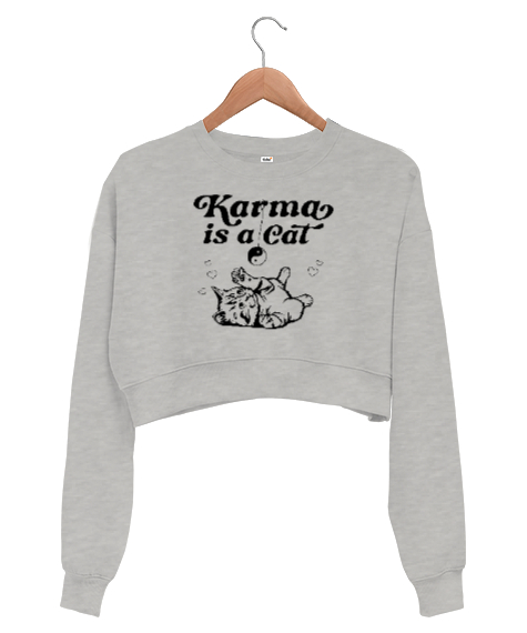 Tisho - Taylor Swift Karma Is a Cat V2 Gri Kadın Crop Sweatshirt
