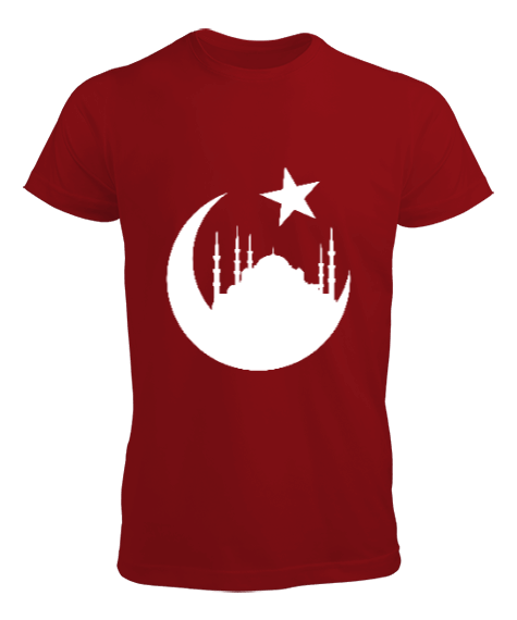Türkiye,Türkiye bayrağı,Hilal ve yıldız. Erkek Tişört - Tisho
