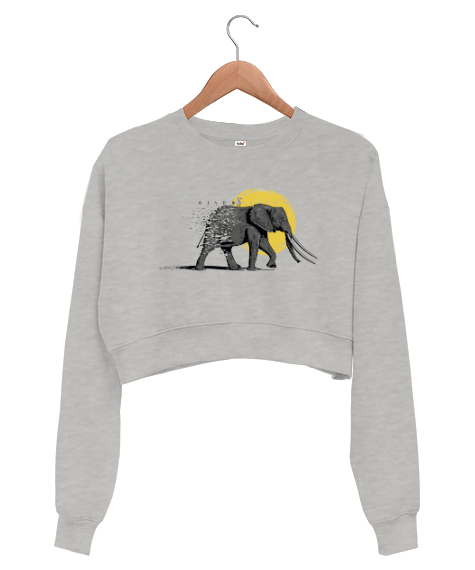 Tisho - Vahşi Yaşam - Wild Elephant Gri Kadın Crop Sweatshirt