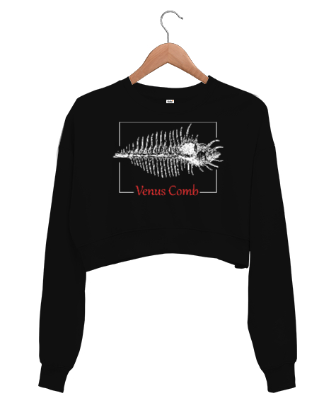 Tisho - Venüs Comb - Venüs Tarağı Siyah Kadın Crop Sweatshirt