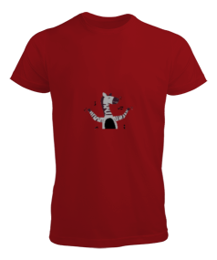 Zebra Erkek Tişört - Tisho